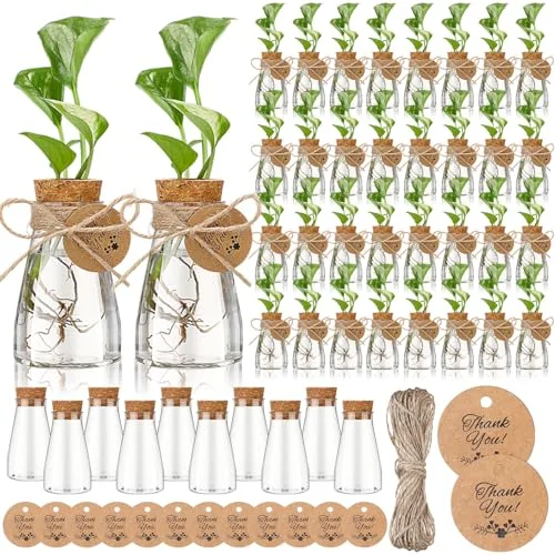 3.35'' Plastic Plant Propagation Stations with Hole Lid Planter Vase Propagation Jars with Thank You Tags for Plant Lover Gifts for Women Office Home Garden