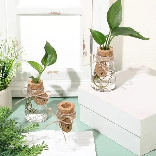 3.35'' Plastic Plant Propagation Stations with Hole Lid Planter Vase Propagation Jars with Thank You Tags for Plant Lover Gifts for Women Office Home Garden view 3