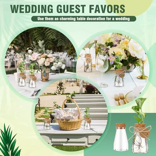 3.35'' Plastic Plant Propagation Stations with Hole Lid Planter Vase Propagation Jars with Thank You Tags for Plant Lover Gifts for Women Office Home Garden view 5