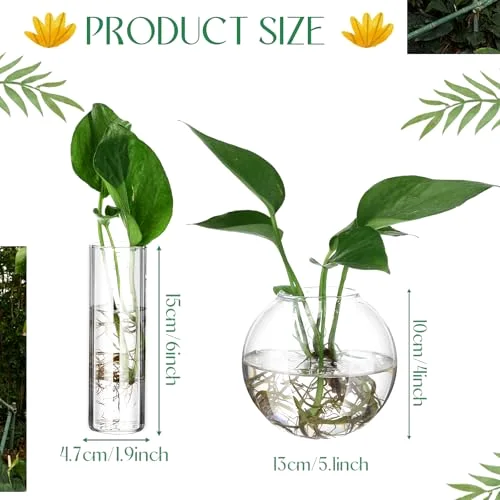Glass Wall Hanging Vase Indoor Propagation Planter with Hanging Suction Cup and Plastic Invisible Traceless Hanger for Hydroponic Flower Succulent Spring Summer Wedding Wall Mount Decor view 2