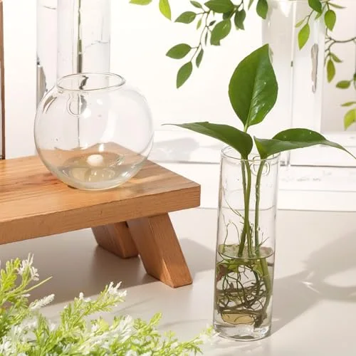 Glass Wall Hanging Vase Indoor Propagation Planter with Hanging Suction Cup and Plastic Invisible Traceless Hanger for Hydroponic Flower Succulent Spring Summer Wedding Wall Mount Decor view 4