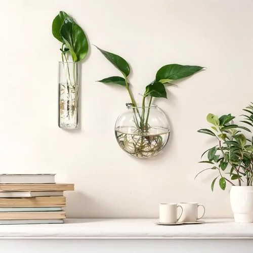 Glass Wall Hanging Vase Indoor Propagation Planter with Hanging Suction Cup and Plastic Invisible Traceless Hanger for Hydroponic Flower Succulent Spring Summer Wedding Wall Mount Decor view 5