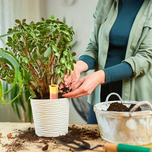 Terracotta Watering Spikes Colorful Automatic Self Watering Stakes Slow Release Vacation Plant Waterer Devices for Indoor Outdoor Plants view 5