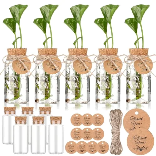 3.54'' Plastic Plant Propagation Stations with Hole Lid Planter Vase Propagation Jars with Thank You Tags for Plant Lover Gifts for Women Office Home Garden() view 6