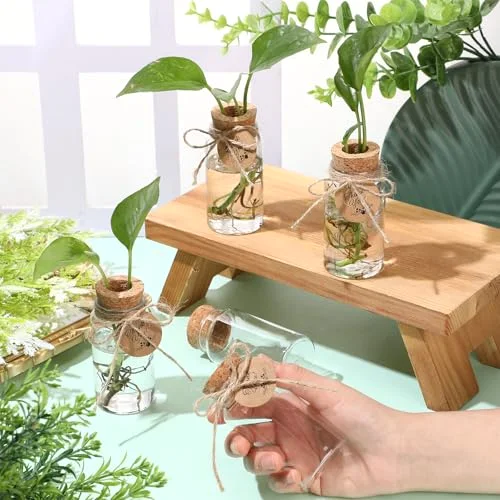 3.54'' Plastic Plant Propagation Stations with Hole Lid Planter Vase Propagation Jars with Thank You Tags for Plant Lover Gifts for Women Office Home Garden() view 8