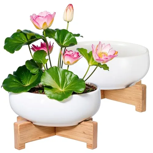 Lotus Bowl Planter with Base Ceramic Hydroponic Planter Water Lily Bowl for Planting Aquatic and Indoor Plants Household Ceramic Basin Decor()