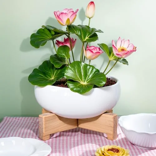 Lotus Bowl Planter with Base Ceramic Hydroponic Planter Water Lily Bowl for Planting Aquatic and Indoor Plants Household Ceramic Basin Decor() view 4