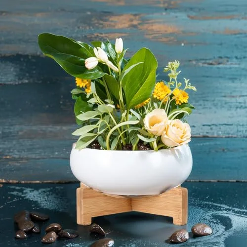 Lotus Bowl Planter with Base Ceramic Hydroponic Planter Water Lily Bowl for Planting Aquatic and Indoor Plants Household Ceramic Basin Decor() view 5