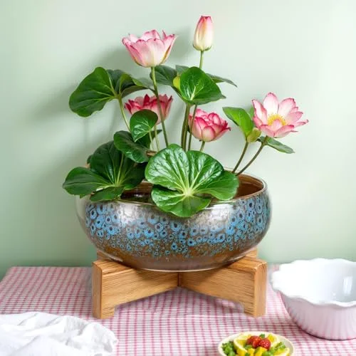 Lotus Bowl Planter with Base Ceramic Hydroponic Planter Water Lily Bowl for Planting Aquatic and Indoor Plants Household Ceramic Basin Decor() view 8