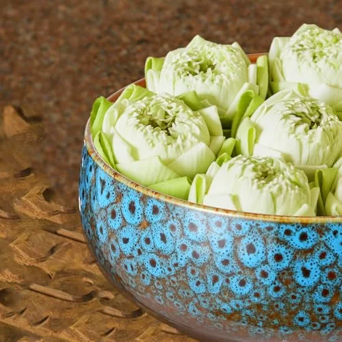 Lotus Bowl Planter with Base Ceramic Hydroponic Planter Water Lily Bowl for Planting Aquatic and Indoor Plants Household Ceramic Basin Decor() view 9