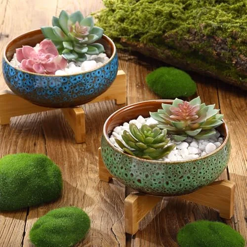 Lotus Bowl Planter with Base Ceramic Hydroponic Planter Water Lily Bowl for Planting Aquatic and Indoor Plants Household Ceramic Basin Decor() view 10