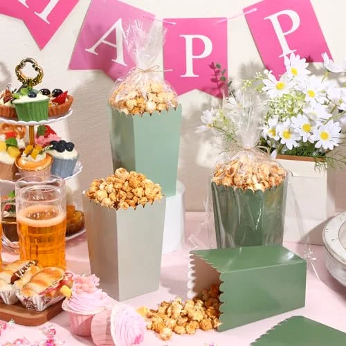 Popcorn Boxes and Treat Bag Set Bulk Wedding Popcorn Containers 6.7' Open Top Paper Popcorns Bag with Treat Candy Bags & Packing String for Party Movie (Gradient) view 10