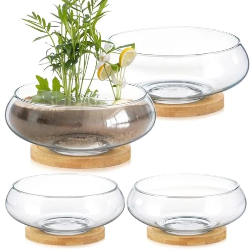 Glass Planter Bowls for Flowers with Tray 6'' Round Glass Vase Bowl Hydroponic Lotus Planter Pot Propagation Vases Fish Bowl for Plants Indoor Windowsill Kitchen Desktop Wedding Decor view 6