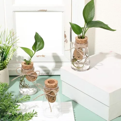 3.35'' Plastic Plant Propagation Stations with Hole Lid Planter Vase Propagation Jars with Thank You Tags for Plant Lover Gifts for Women Office Home Garden view 8
