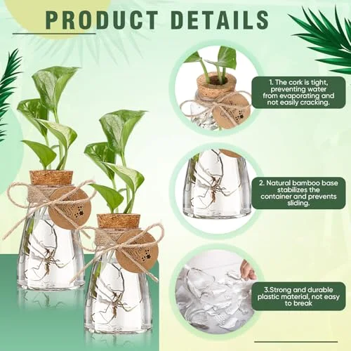 3.35'' Plastic Plant Propagation Stations with Hole Lid Planter Vase Propagation Jars with Thank You Tags for Plant Lover Gifts for Women Office Home Garden view 9