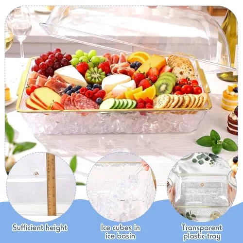 16" x 9" Chilled Serving Tray with lids-A view 4