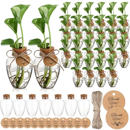 Big Plastic Plant Propagation Stations with Hole Lid Planter Vase Propagation Jars with Thank You Tags for Plant Lover Gifts for Women Office Home Garden view 6