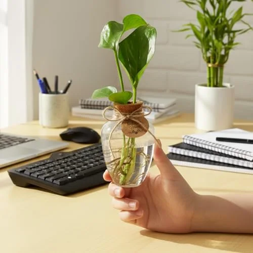 Big Plastic Plant Propagation Stations with Hole Lid Planter Vase Propagation Jars with Thank You Tags for Plant Lover Gifts for Women Office Home Garden view 9
