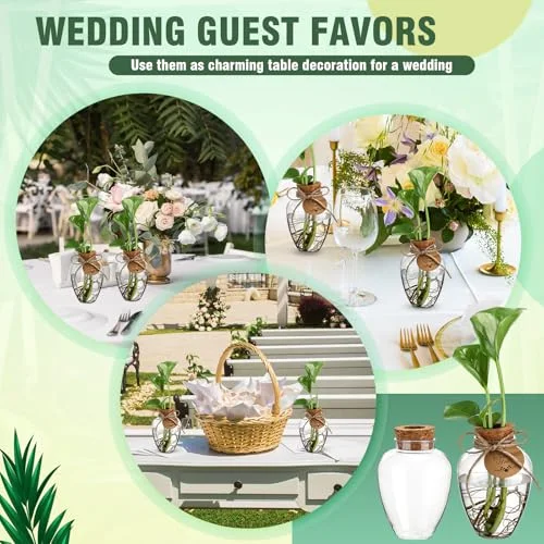 Big Plastic Plant Propagation Stations with Hole Lid Planter Vase Propagation Jars with Thank You Tags for Plant Lover Gifts for Women Office Home Garden view 10
