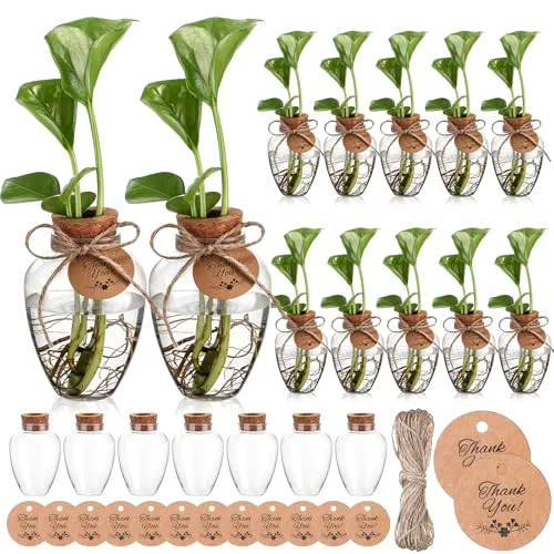 Big Plastic Plant Propagation Stations with Hole Lid Planter Vase Propagation Jars with Thank You Tags for Plant Lover Gifts for Women Office Home Garden