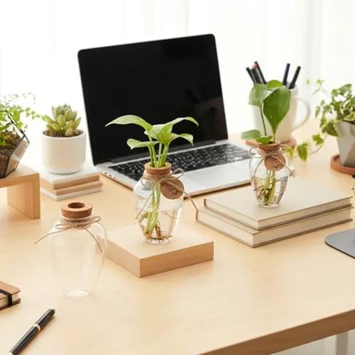 Big Plastic Plant Propagation Stations with Hole Lid Planter Vase Propagation Jars with Thank You Tags for Plant Lover Gifts for Women Office Home Garden view 4