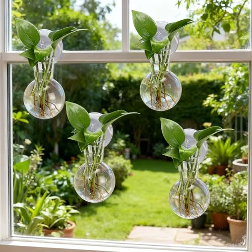 Window Propagation Stations Plastic Wall Hanging Planter with Suction Cups Brush Window Suction Plant Holder Vases Tubes Terrarium for Home Office Decor (Bulb) view 4