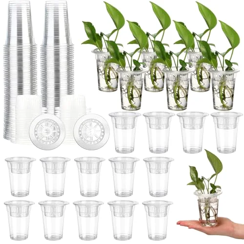 Plastic Plant Propagation Vase for Indoor Decor, 3.94''