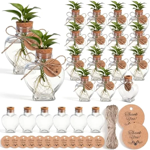 3.74'' Plastic Plant Propagation Stations with Hole Lid Planter Vase Propagation Jars with Thank You Tags for Plant Lover Gifts for Women Office Home Garden