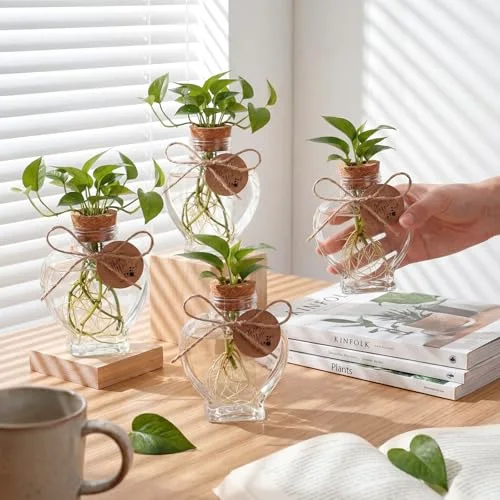3.74'' Plastic Plant Propagation Stations with Hole Lid Planter Vase Propagation Jars with Thank You Tags for Plant Lover Gifts for Women Office Home Garden view 3