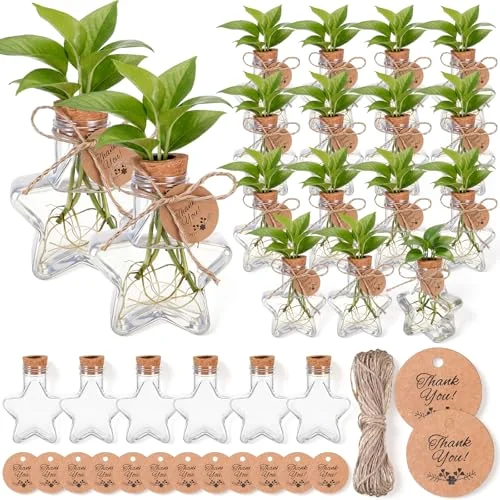 3.74'' Plastic Plant Propagation Stations with Hole Lid Planter Vase Propagation Jars with Thank You Tags for Plant Lover Gifts for Women Office Home Garden view 6