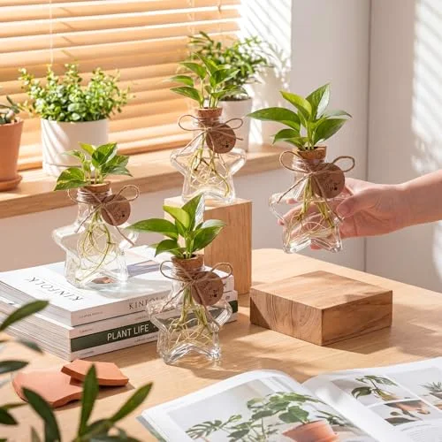 3.74'' Plastic Plant Propagation Stations with Hole Lid Planter Vase Propagation Jars with Thank You Tags for Plant Lover Gifts for Women Office Home Garden view 8
