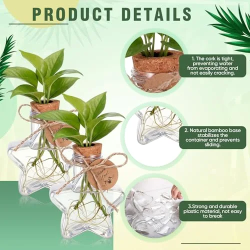 3.74'' Plastic Plant Propagation Stations with Hole Lid Planter Vase Propagation Jars with Thank You Tags for Plant Lover Gifts for Women Office Home Garden view 9