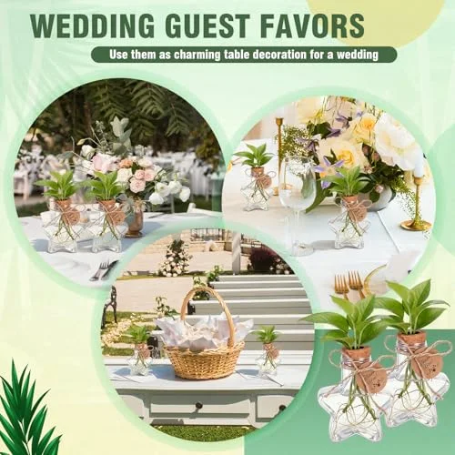 3.74'' Plastic Plant Propagation Stations with Hole Lid Planter Vase Propagation Jars with Thank You Tags for Plant Lover Gifts for Women Office Home Garden view 10