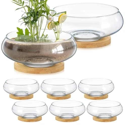 Glass Planter Bowls for Flowers with Tray 6'' Round Glass Vase Bowl Hydroponic Lotus Planter Pot Propagation Vases Fish Bowl for Plants Indoor Windowsill Kitchen Desktop Wedding Decor