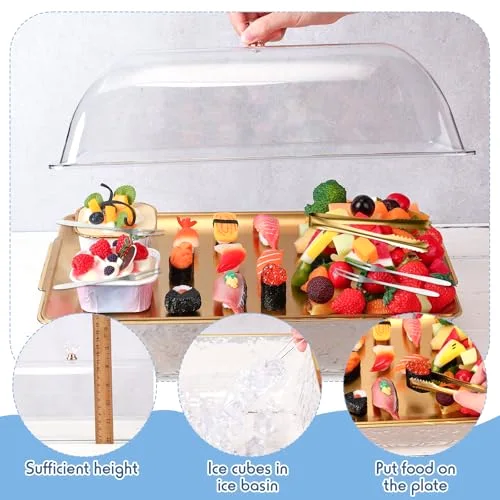 16" x 9" Chilled Serving Tray for Parties with Compartments and Lid Charcuterie Serving Board Ice Rectangle Chilled Party Platter for Seafood Vegetable Fruit Shrimp Cocktail () view 8