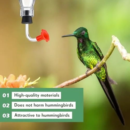 Hummingbird Feeder Parts Replacement for Wine Bottle view 4