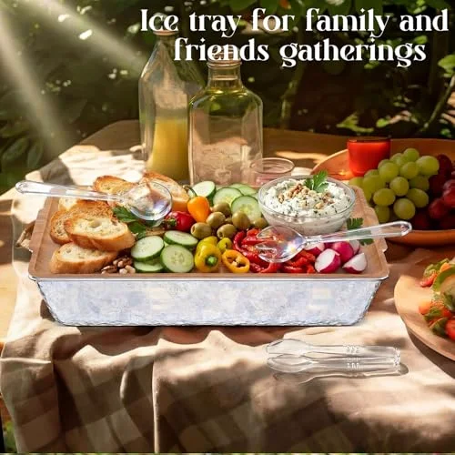16" x 9" Chilled Serving Tray for Parties view 5