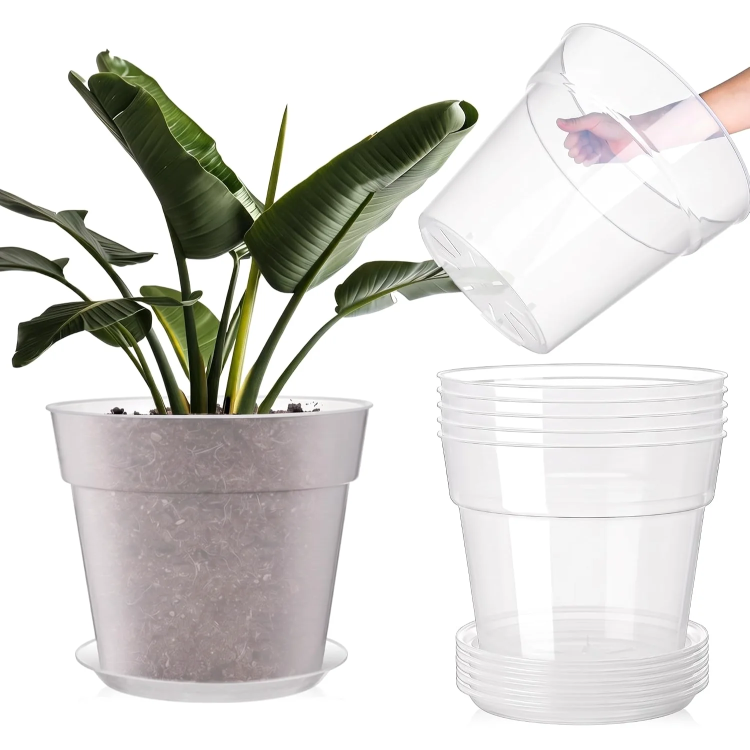 Nursery Pot