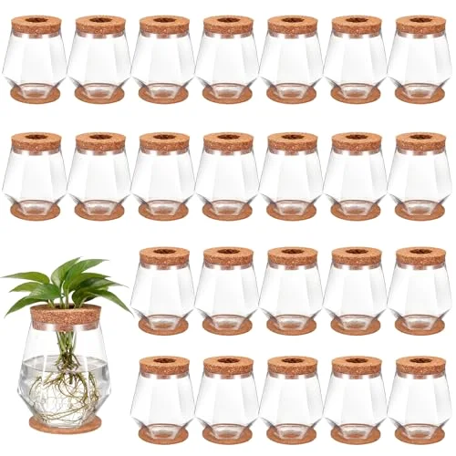 Plastic Desktop Plant Terrariums Propagation Planter Tabletop Planting Vase with Lid and Cork Plant Coasters for Growing Hydroponic Home Office Table Decoration (Diamond Style)