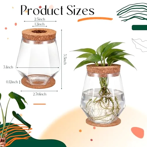 Plastic Desktop Plant Terrariums Propagation Planter Tabletop Planting Vase with Lid and Cork Plant Coasters for Growing Hydroponic Home Office Table Decoration (Diamond Style) view 2