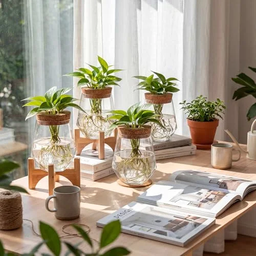 Plastic Desktop Plant Terrariums Propagation Planter Tabletop Planting Vase with Lid and Cork Plant Coasters for Growing Hydroponic Home Office Table Decoration (Diamond Style) view 3