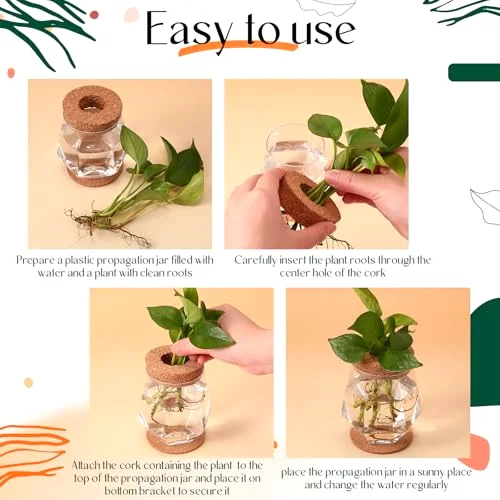 Plastic Desktop Plant Terrariums Propagation Planter Tabletop Planting Vase with Lid and Cork Plant Coasters for Growing Hydroponic Home Office Table Decoration (Diamond Style) view 4