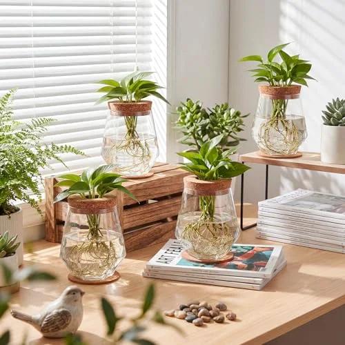 Plastic Desktop Plant Terrariums Propagation Planter Tabletop Planting Vase with Lid and Cork Plant Coasters for Growing Hydroponic Home Office Table Decoration (Diamond Style) view 5