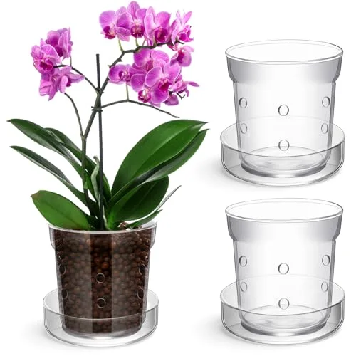 Orchid Pot with Drainage Holes and Tray Transparent Glass Pot Planter for Orchids Flower Repotting Anti Slip Glass Plant Vase for Indoor Outdoor Home Decor () view 6