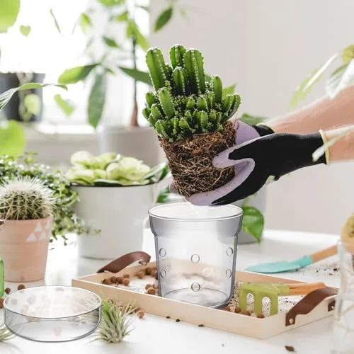 Orchid Pot with Drainage Holes and Tray Transparent Glass Pot Planter for Orchids Flower Repotting Anti Slip Glass Plant Vase for Indoor Outdoor Home Decor () view 9