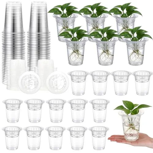 Plastic Plant Propagation Vase for Indoor Decor, 4.25''