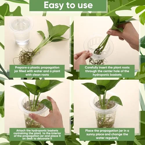 Plastic Plant Propagation Vase for Indoor Decor, 4.25'' view 4