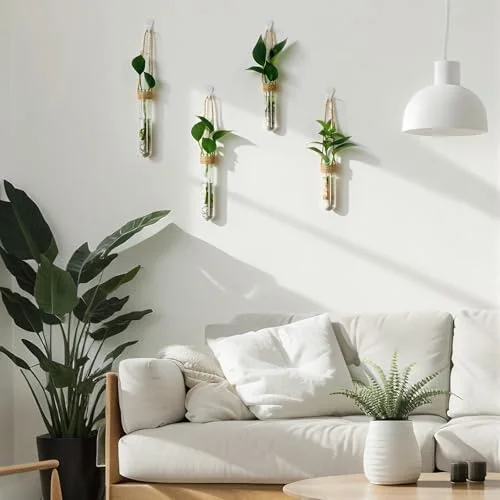 Window Propagation Stations Plastic Window Planter with Suction Cups & Traceless Nails, Propagated Plant Holders with Bottle Brush, Hanging Vases Terrarium Gift (5.5''& 5"& 3.7'') view 3