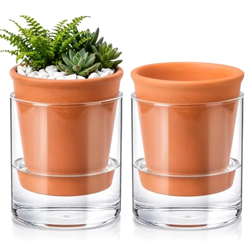 Self Watering Pot for Indoor Plants Glass Planter Small Plant Pot with Saucer Reservoir Drainage Holes Bottom Watering Pot for African Violet Orchid Flowers Houseplant view 6