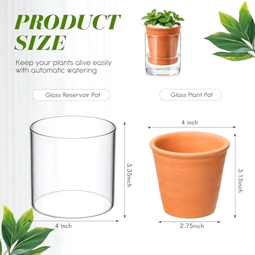 Self Watering Pot for Indoor Plants Glass Planter Small Plant Pot with Saucer Reservoir Drainage Holes Bottom Watering Pot for African Violet Orchid Flowers Houseplant view 7